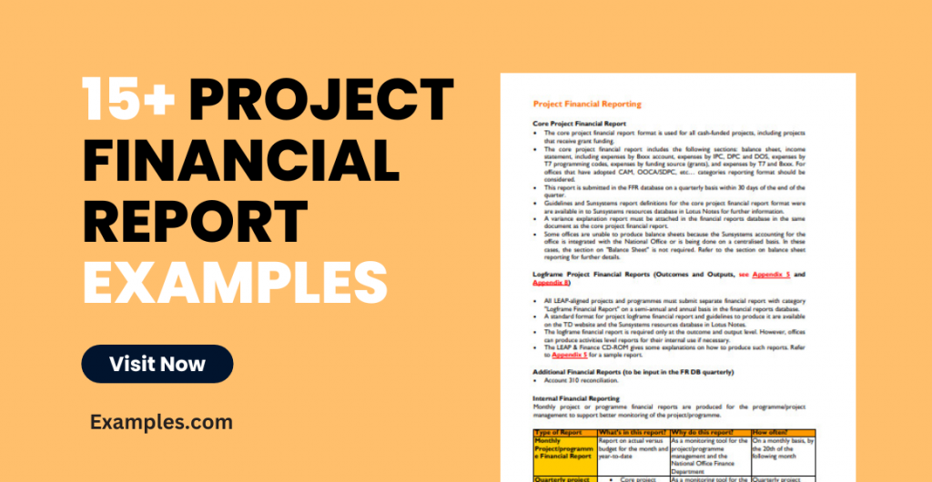 Project Financial Report Examples