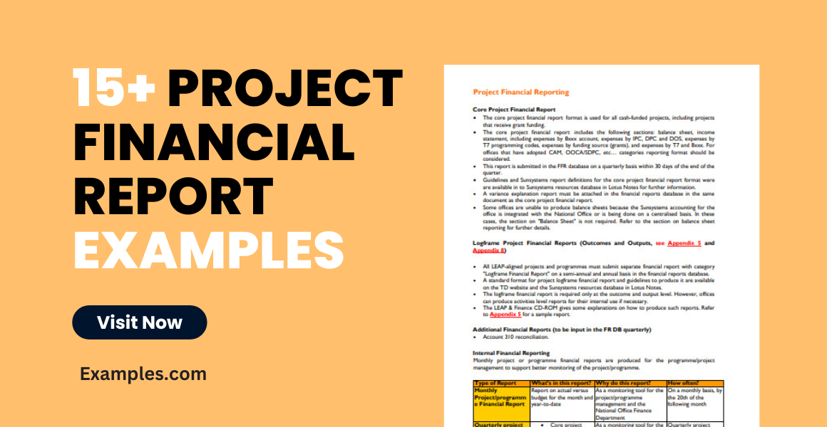 project financial report examples