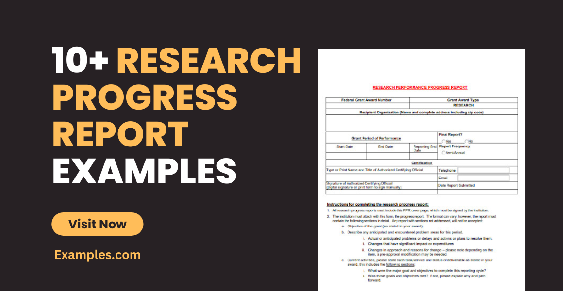 progress report research sample