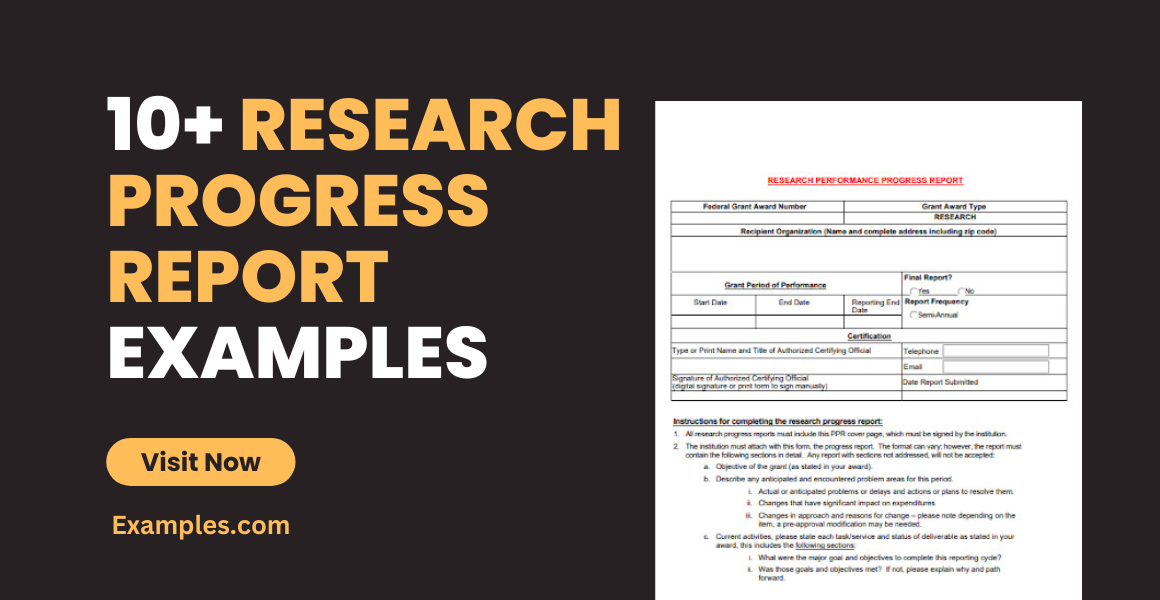 how to write a research project progress report