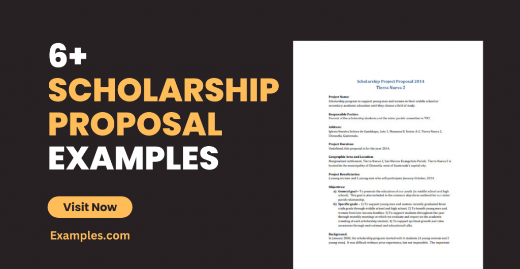Scholarship Proposal Examples