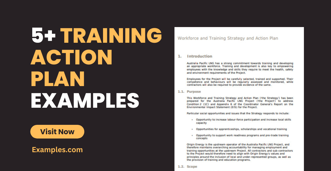 Training Action Plan Examples