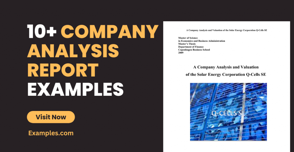 Company Analysis Report Examples