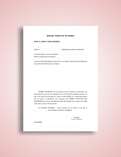 Special Power of Attorney - 10+ Examples, Format, Pdf | Examples