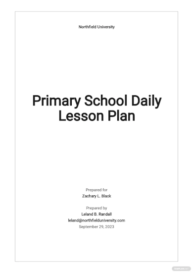 primary school daily lesson plan template
