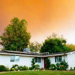 Real Estate Marketing Flyer Examples
