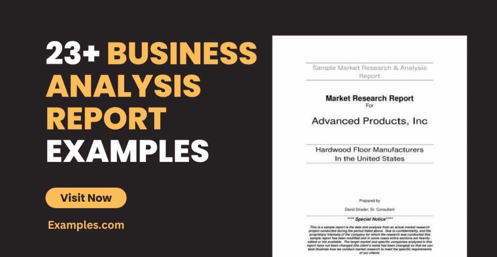 Business Analysis Report Examples