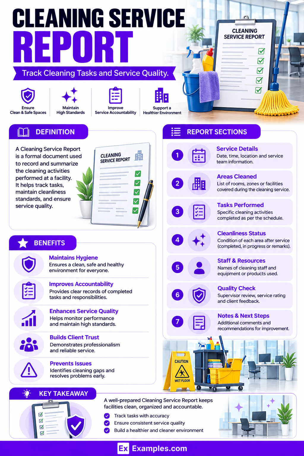 7+ Cleaning Service Report Examples to Download