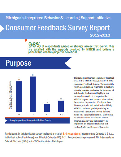 consumer feedback survey report