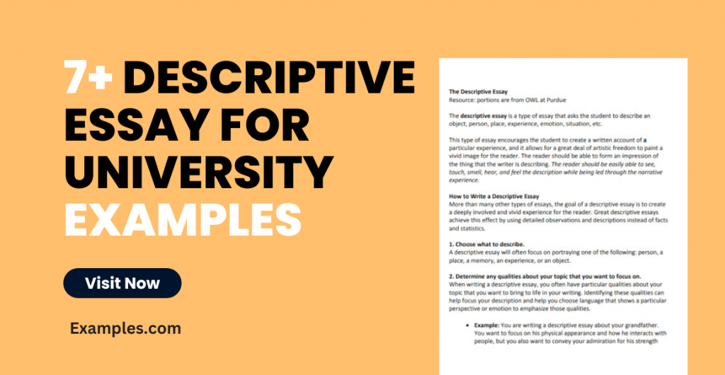 Descriptive Essay for University Examples