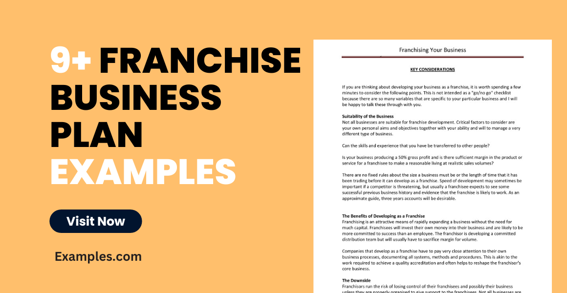 franchise business plan examples