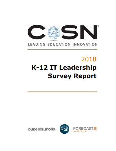 it leadership survey report
