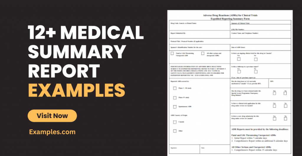 Medical Summary Report Examples