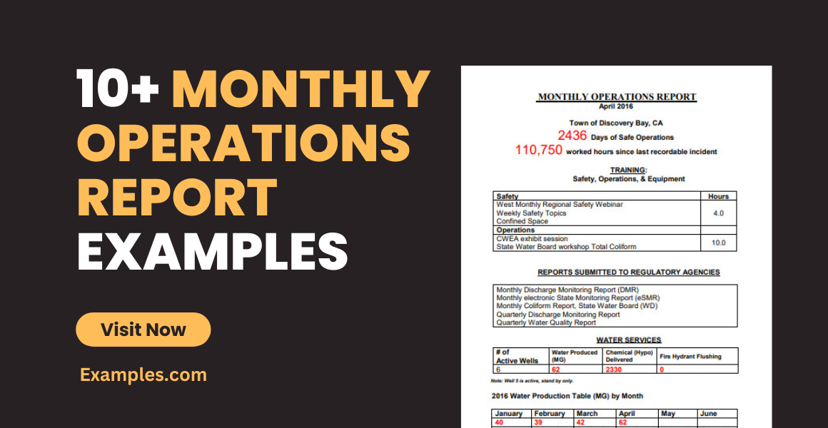 monthly operations report examples