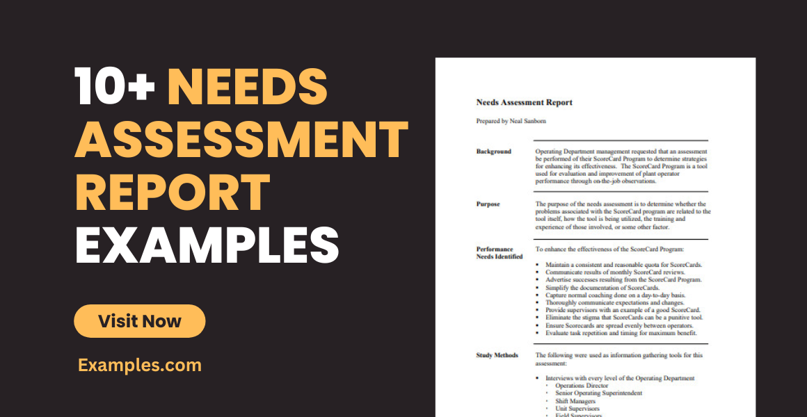 Needs Assessment Report Examples