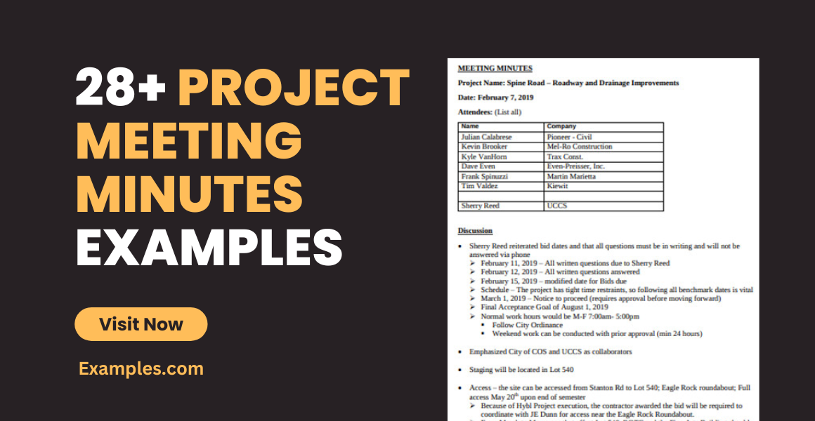 Project Meeting Minutes Examples