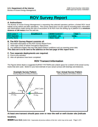rov survey report 
