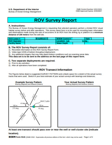 Survey Report 17 Examples Format Pdf Examples