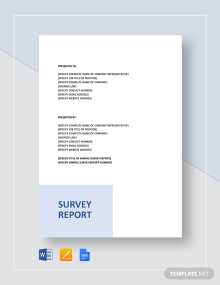 sample survey report template