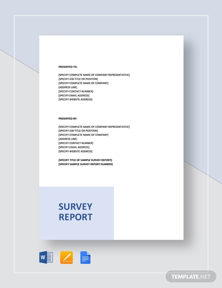 Sample Survey Report Template