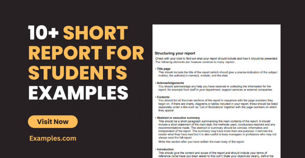 Short Report for Students Examples