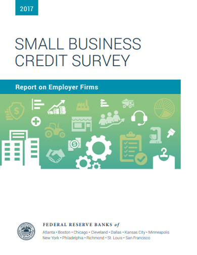 small business credit survey