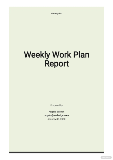weekly work plan report template