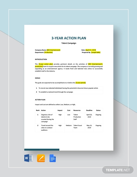 3 Year Action Plan Template