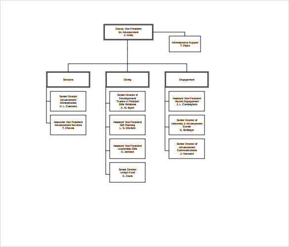 Sample Organizational Chart For Nonprofit