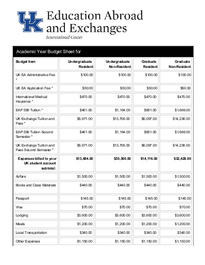 academic year budget sheet