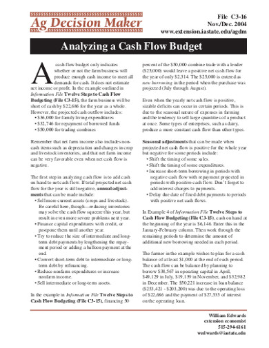 analyzing a cash flow budget