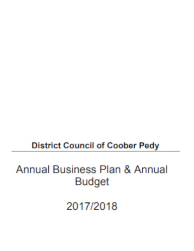 annual business plan annual business budget