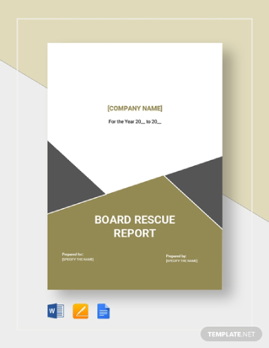 board rescue report