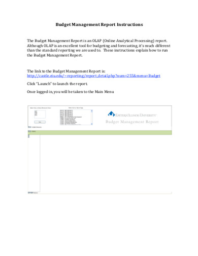 budget management report instructions