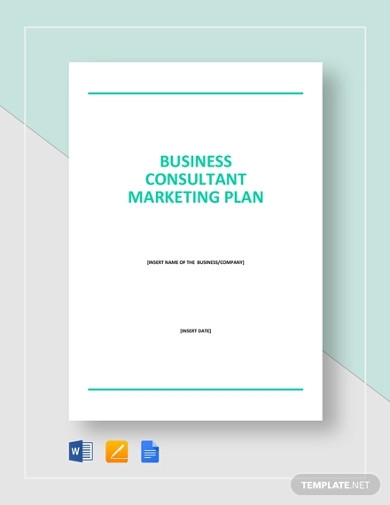 Business consultant Marketing Plan Template