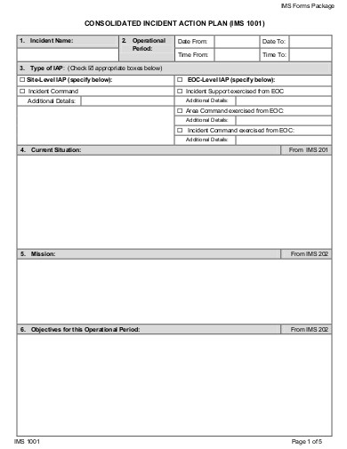 consolidate incident action plan form