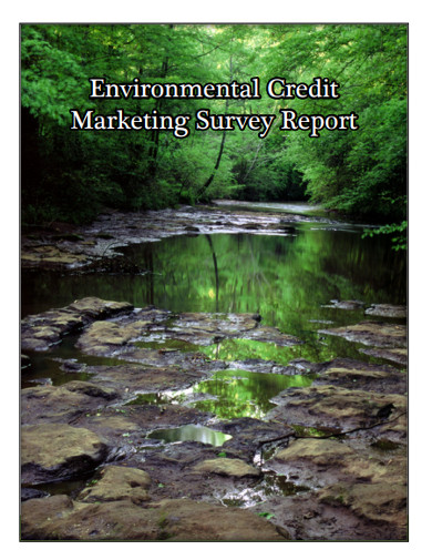 environmental credit marketing survey report