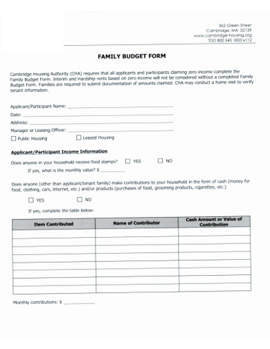 family budget form