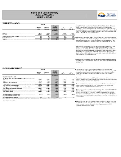 Fiscal and Debt Budget Summary
