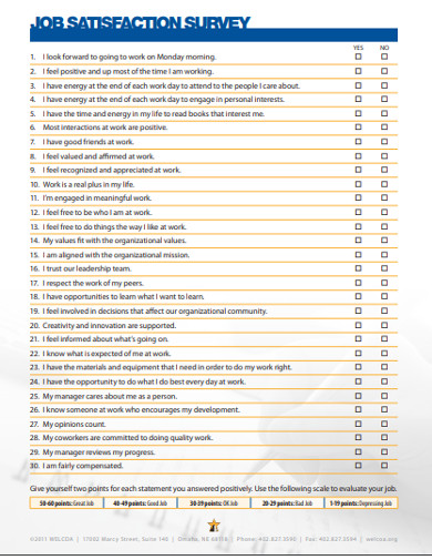 job satisfaction survey in pdf