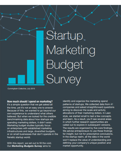 marketing budget survey