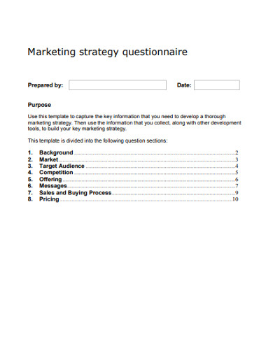 marketing strategy questionnaire