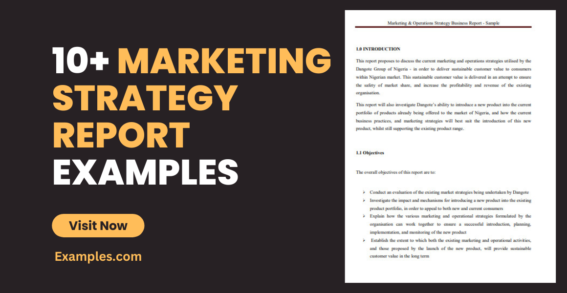 marketing strategy report examples