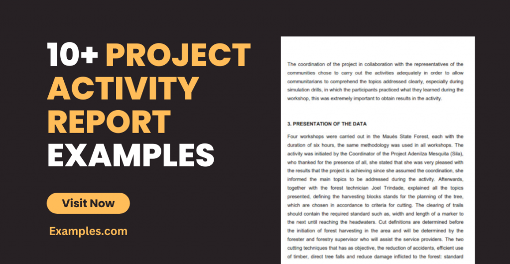 Project Activity Report Examples