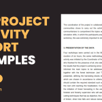 Project Activity Report Examples
