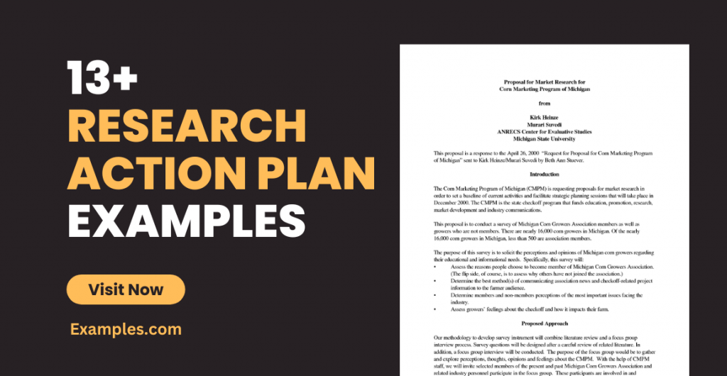 Research Action Plan Examples
