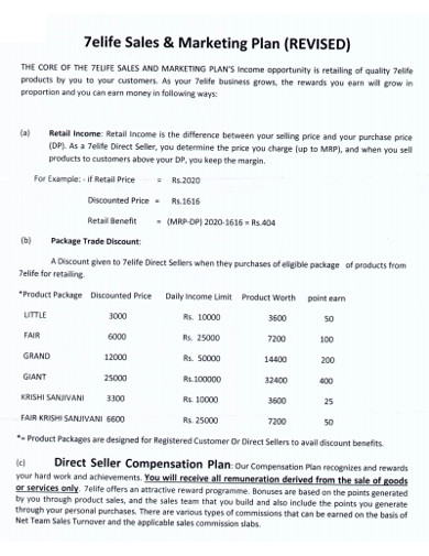 sales marketing plan in pdf
