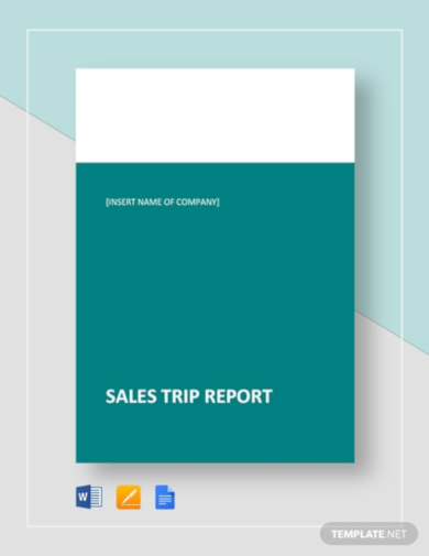 Sales Trip Report Template Word
