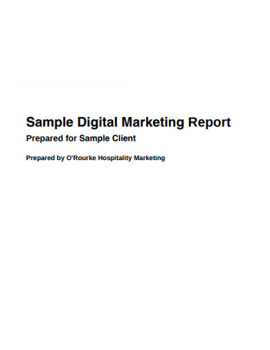 sample digital marketing report