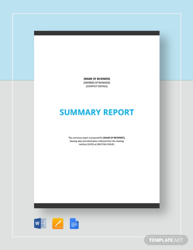 summary report